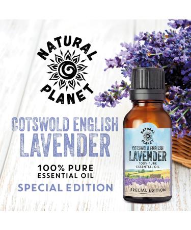 English Cotswold Lavender 15ML Essential Oil - 100% Pure, Undiluted & Therapeutic Grade - Buy Online on GoSupps.com