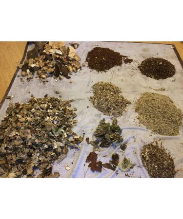 Our mega-23 Mushroom blend . We have it all! - Buy Online on GoSupps.com