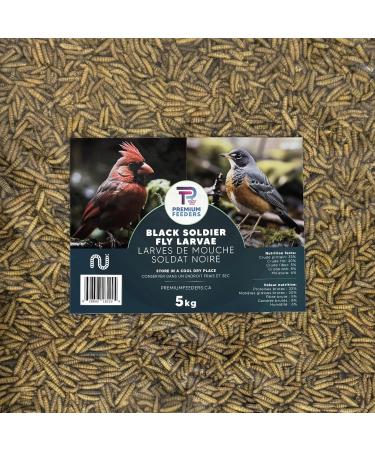 11lb - Dried Black Soldier Fly Larvae by Premium Feeders Dried mealworms Alternative Treats for Chicken Hens Duck Bird Quail Tortoise Fish High Calcium & Protein All Natural BSF - Buy Online on GoSupps.com