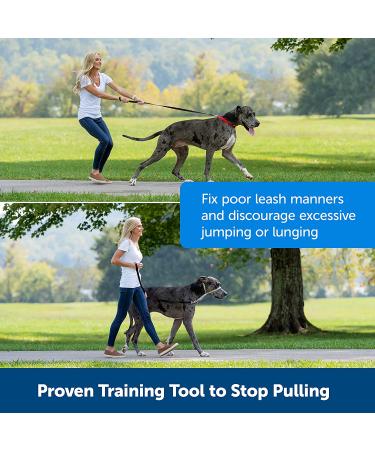 PetSafe Gentle Leader Headcollar - No-Pull Dog Collar for Easy Leash & Harness Training - Buy Online on GoSupps.com