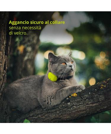 KIPPY Silicone Cover for Evo Cat & Dog GPS Tracker | Protective Case with Button Closure | Durable Collar Attachment - Buy Online on GoSupps.com