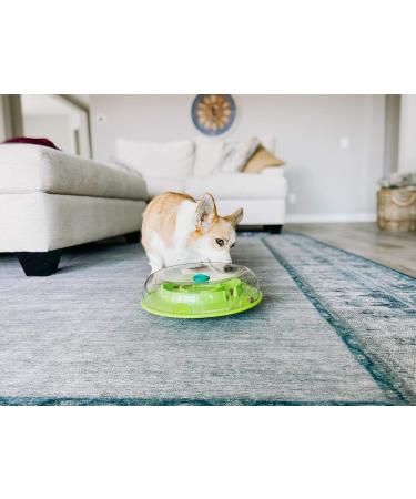 Outward Hound Nina Ottosson Wobble Bowl - Interactive Slow Feeder Dog Game | Level 1 (Easy) - Buy Online on GoSupps.com