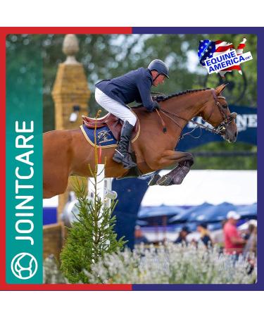 Cortaflex Equine America Regular Powder - Premium Joint & Mobility Support for Horses & Ponies | 3.6kg | International Shipping Available - Buy Online on GoSupps.com