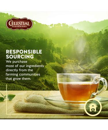 Celestial Seasonings Lemon Zinger Herbal Tea 20 Tea Bags per Box 6 Boxes - Buy Online on GoSupps.com