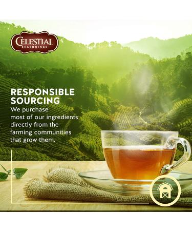 Celestial Seasonings Caffeine Free Chamomile Herbal Tea - 20 Bags (0.9 oz) - Buy Online on GoSupps.com