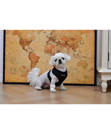 Puppia Dog Harness for Small & Medium Dogs - Super Soft & Colorful | Atani Train Crockery for Dogs - Black XL - Buy Online on GoSupps.com