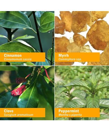 Herb Pharm Gum Guardian Herbal Mouthwash - Organic, 1 Fl Oz - Healthy Mouth and Gums - Buy Online on GoSupps.com