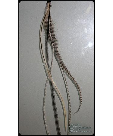 Buy Pack of 5 Black & White Feather Extensions for Brown Hair - Stylish Accessories for Unique Looks - Buy Online on GoSupps.com