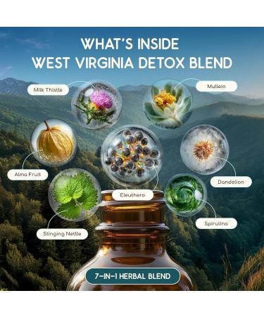 HerbEra West Virginia Herbal Detox Blend - USDA Organic Extract Made in USA | Immune & Liver Support Liquid Drops | Amla Dandelion Root Eleuthero Milk Thistle Mullein Leaf | 2 fl oz - Buy Online on GoSupps.com
