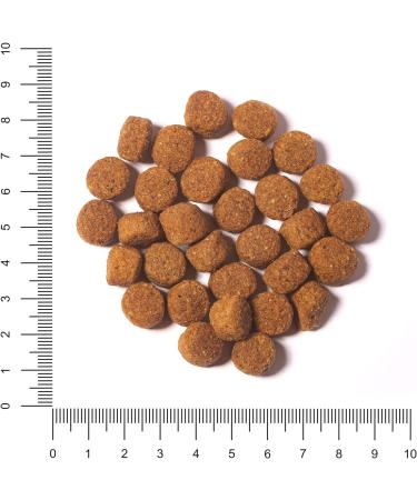 The Hunger of the Wolf Adult Dog Food - 14kg Chicken Formula for All Breeds (Dry Food for Sterilized Dogs) - Buy Online on GoSupps.com