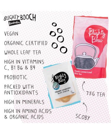 Organic Kombucha Starter Kit with SCOBY Fluid and Orange Pekoe Tea - Buy Online on GoSupps.com