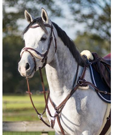 Buy ARBO-INOX Full Brown Breastplate Leather 5-Point Harness with Martingale - International Shipping Available - Buy Online on GoSupps.com