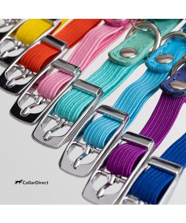 CollarDirect Leather Cat Safety Collar with Elastic Strap and Bell | 9-11 Inch | Black Blue Red Orange Lime Green Mint Green - Buy Online on GoSupps.com