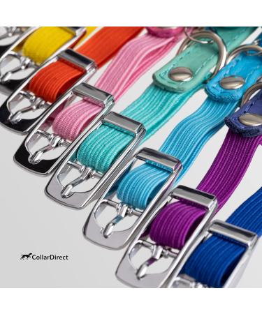 Collardirect Leather Cat Neck Band - Safety Collar with Elastic Belt & Bell | Adjustable 15-18 cm in Black Blue Red Orange Green Pink & Purple - Buy Online on GoSupps.com