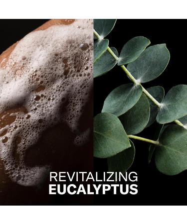 Art of Sport Men s 2-in-1 Body Wash and Shampoo with Charcoal Activated Eucalyptus Fragrance Made for Athletes Victory Scent 16 fl oz (Pack of 2) - Buy Online on GoSupps.com