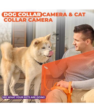 Pet Collar Camera Kit | Capture Adventure in 1080p with Night Vision | Mini Spy Camera for Dogs and Cats | No WiFi Needed - Buy Online on GoSupps.com