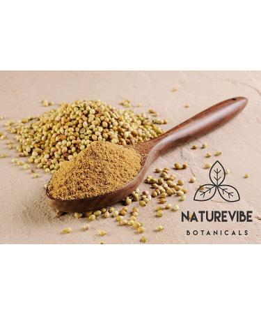 Naturevibe Botanicals Organic Coriander Seed Powder - 1lb (16oz) | Gluten-Free, Non-GMO, Raw | Rich in Minerals | Indian Spice - Buy Online on GoSupps.com
