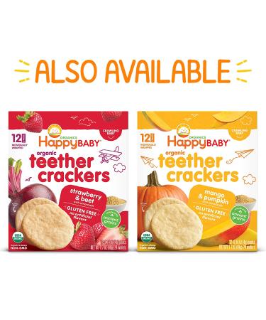 Happy Family Organics Organic Baby Food - Hearty Root Vegetables & Turkey with Quinoa Stage 3 (4 oz) - Buy Online on GoSupps.com