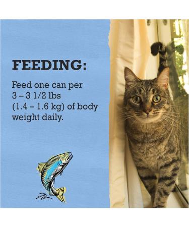 Beyond Wet Cat Food Trout & Catfish Pate - 85 g Can (12 Pack) - Buy Online on GoSupps.com