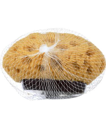 SPA BELLA Faux Sea Sponge Bath Brush - Gentle Exfoliation Tool for Smooth Skin | 1 EA - Buy Online on GoSupps.com