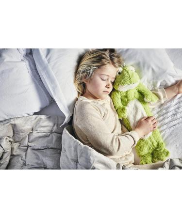 Warmies 3D Frog Hot Water Bottle - Cozy and Cute Relief - Buy Online on GoSupps.com