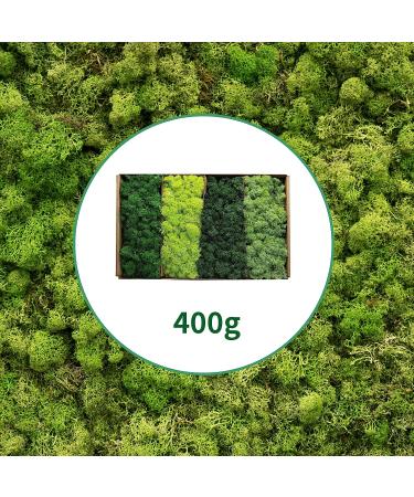 TurelinnG Preserved Moss Reindeer Craft Moss 4 Color Set - 14oz Total, 3.5oz Each - Fake Moss for Flowerbeds, Crafts & Decor - Green (01+02+03+04) - Buy Online on GoSupps.com