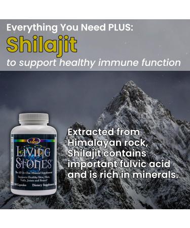 Living Stones Complete Mineral Supplement with Zinc Calcium Magnesium Selenium Trace Minerals No Added Iron with MSM (Organic Sulfur) and Shilajit Premium Absorption (30-Day Supply - 180 Caps) - Buy Online on GoSupps.com