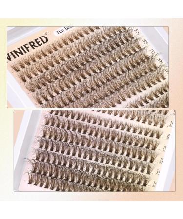 Buy Winifred Brown Lash Clusters - Fluffy Individual Lashes & Natural Eyelash Extensions 8-16mm - 30D+40D Wispy Mink Cluster Lashes for DIY Glam - Buy Online on GoSupps.com
