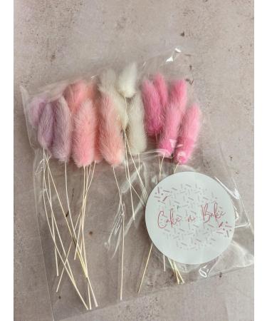 Bunny Tails Cupcake Toppers X 20 (Pink Mix Selection)