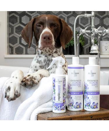 Isle of Dogs Keratin Volume Conditioner 16oz - MultiColor (830-16) - Buy Online on GoSupps.com