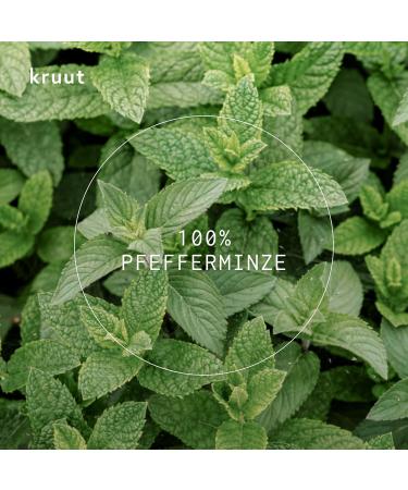 Kruut Fresh Start Hydrolat Organic 50 ml - 100% Natural Facial Toner with Peppermint - Cleanses and Revitalises on the Skin - Buy Online on GoSupps.com