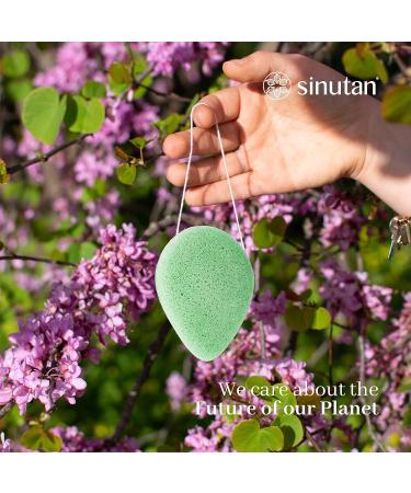 SINUTAN Konjac Face Sponge 100% Natural Green Tea Konjac Sponge for Exfoliation and Deep Pore Cleansing Ecological Sponges Gift Idea Loofah Green-red-black Puff - Buy Online on GoSupps.com