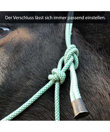 Knothalter f r Bodenarbeit Optimaler Knot-Halter COB f r Shetty (Shetland) | Gr n-Wei | Perfekt f r Frei- Boden- und Lade-Training - Buy Online on GoSupps.com