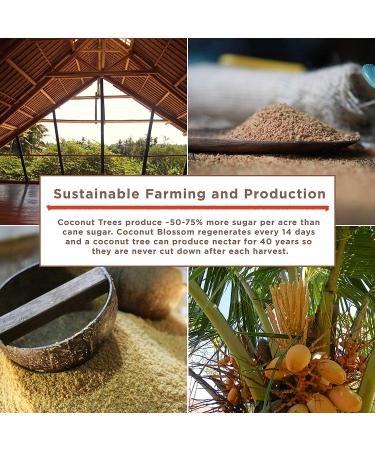 Buy Big Tree Farms Organic Brown Coconut Sugar 1 lb - Pure & Natural Sweetener - Buy Online on GoSupps.com