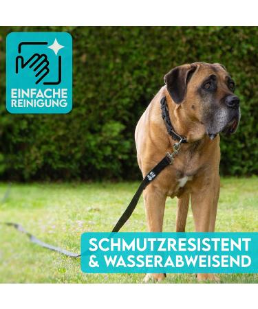 Dog is K nig 10m Drag Line for Dogs | Comfortable Grip Leash | Water-Repellent Dirt-Resistant | Ideal for Dog Training + Free eBook - Buy Online on GoSupps.com