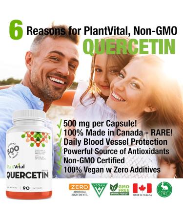 PlantVital Quercetin 1000mg Per Day - Quercetin supplements as a potent source of Antioxidant and Blood Vessel Protection - Made in Canada - Easy to swallow - 45 Days Supply - 90 Vegan Capsules. 90 count (Pack of 1) - Buy Online on GoSupps.com