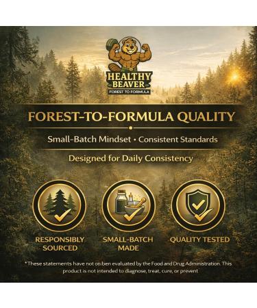 HEALTHY BEAVER Apple Cider Vinegar Gummies 1000 mg with Vitamin B12 & Beetroot for Energy Digestion & Gut Health 60 Chewable Gummies - Buy Online on GoSupps.com