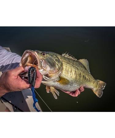 Berkley PowerBait Power Worm Plum/Chartreuse 7 - 13 Count | Shop Now - Buy Online on GoSupps.com