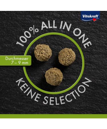 Vita Power Vita Special Junior Feed for Young Dwarf Rabbits - 600g | Herbal & Grass Blend for Optimal Digestion No Sugar or Grains - Buy Online on GoSupps.com