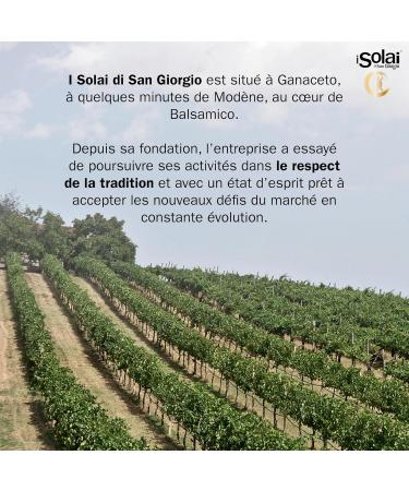Solai Di San Giorgio Classic Organic Gourmet Cream Based on Balsamic Vinegar of Modena I.G.P. Made with 100% Organic Italian Grapes Ideal for Salads Roasts Pizza 180 g - Buy Online on GoSupps.com