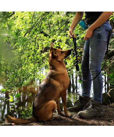 Lionto Dog Collar for Retrievers | Training Collar - 30 cm Black (0.8 cm Thickness) | Durable & Comfortable - Buy Online on GoSupps.com