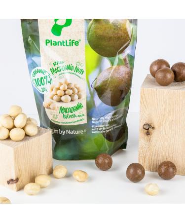 Buy PlantLife Organic Macadamia Nuts 1kg | Raw Extra Large & Untreated - International Shipping Available - Buy Online on GoSupps.com