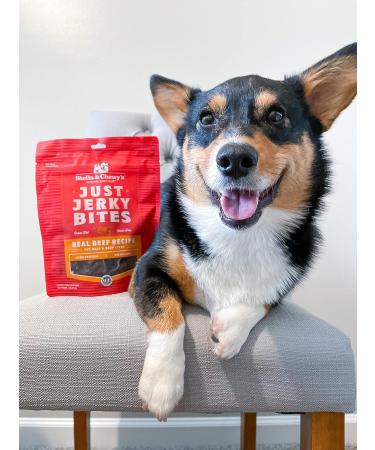 Stella & Chewy's Lil' Bites for Small Breed Dogs (Itty Bitty Beef Recipe) + Just Jerky Bites Real Beef Recipe Dog Treats Bundle Freeze-Dried Raw Dinner Morsels+ Dog Treats - Buy Online on GoSupps.com