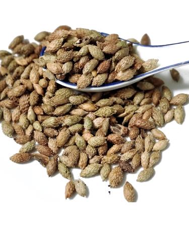 TCM Herbs USA Cang Er Zi / Fructus Xanthii / Xanthium Fruit / Cockleburr Fruit (4 oz) 4 Ounce - Buy Online on GoSupps.com