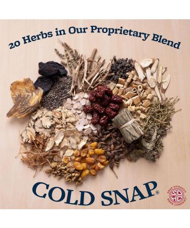 Snap Dynasty Cold Snap - Vegan Immune Support Tablets (90 Count) - Dietary Supplement for Optimal Health - Buy Online on GoSupps.com