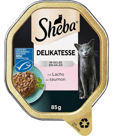 Premium Sheba Delicacy in Jelly - High-Quality Salmon Cat Wet Food - 22 x 85g - International Shipping Available - Buy Online on GoSupps.com