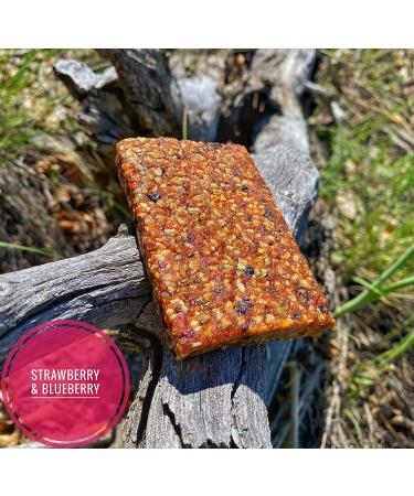 Strawberry Blueberry Every Bar - Delicious & Nutritious Snack - Buy Online on GoSupps.com