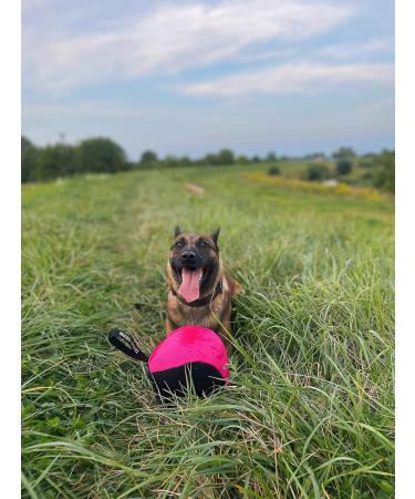 Dingo Gear Training Toys Ball 19cm - Black-Rosa with Handle | Durable Nylcott for IGP Obedience & Training Games - Buy Online on GoSupps.com