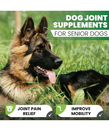 Senior Dog Joint Supplements - Glucosamine & Chondroitin - Pain Relief & Mobility Support - 120 Chicken Flavour Tablets - Buy Online on GoSupps.com