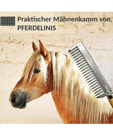 Mane Comb for Horse Donkey Made of Metal with Sturdy Wooden Handle (Wooden Handle) - Buy Online on GoSupps.com